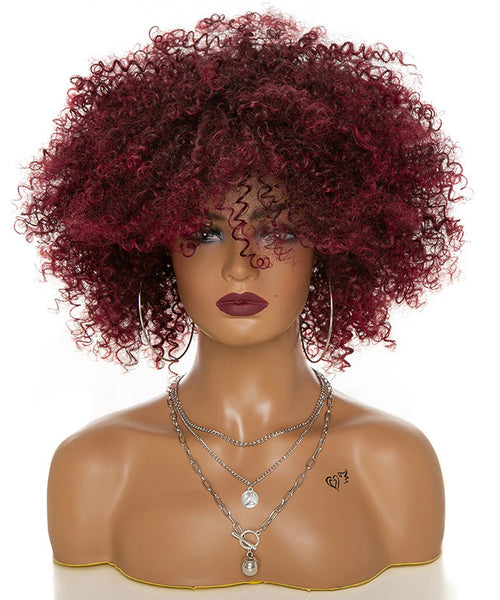 Afro Kinky Curly Hair Wigs Afro Kinky Curly Hair Wigs